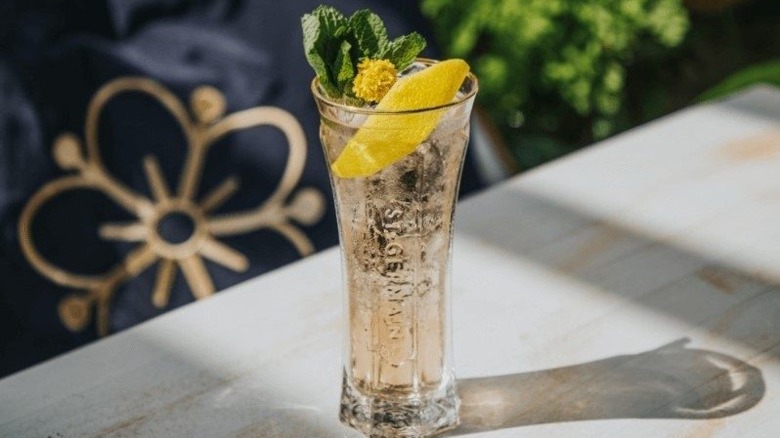 St-Germain cocktail with mint