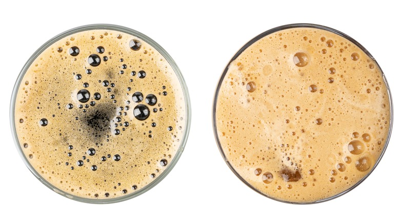 two beers overhead shot foam