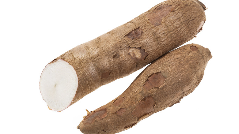 raw cassava root on white