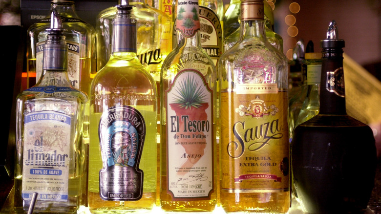 An assortment of tequila bottles