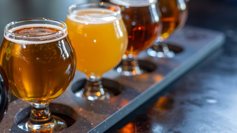 Several craft beer varieties arranged in a row.