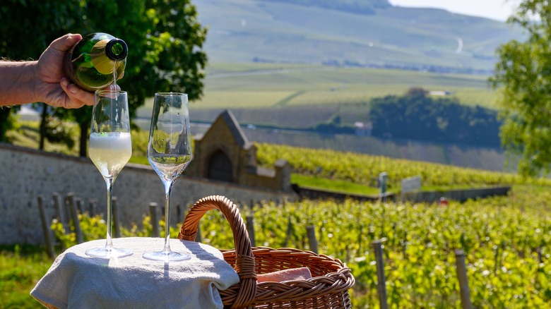 sparkling wine at a vineyard