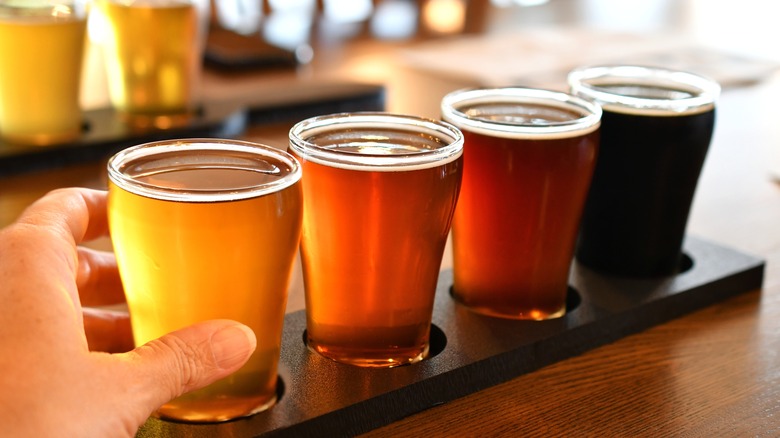 A hand reaching for a glass of beer in a flight