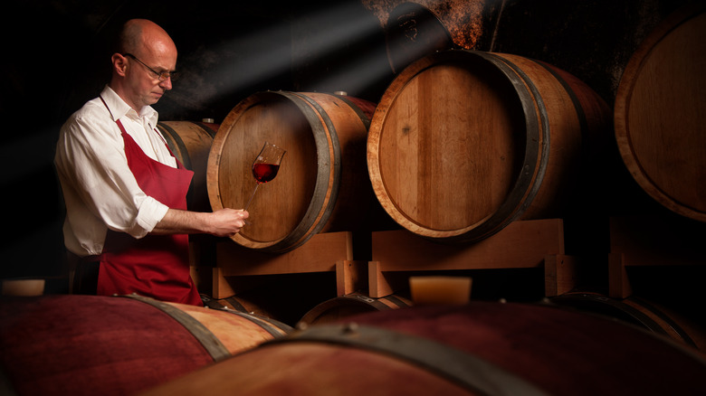 Winemaker standing with barrels in cellar