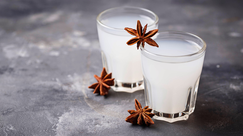 Ouzo with star anise pods