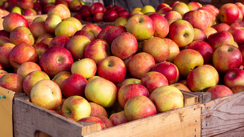 Crate of honeycrisp apples