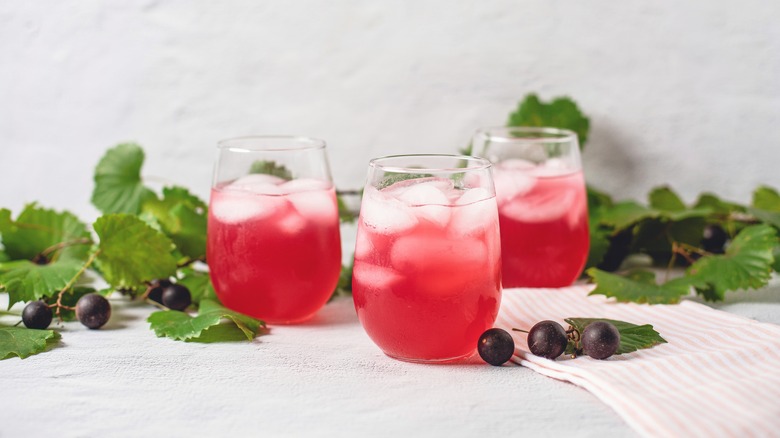 Glasses of muscadine wine mixed with lemonade, next to grapes and vines