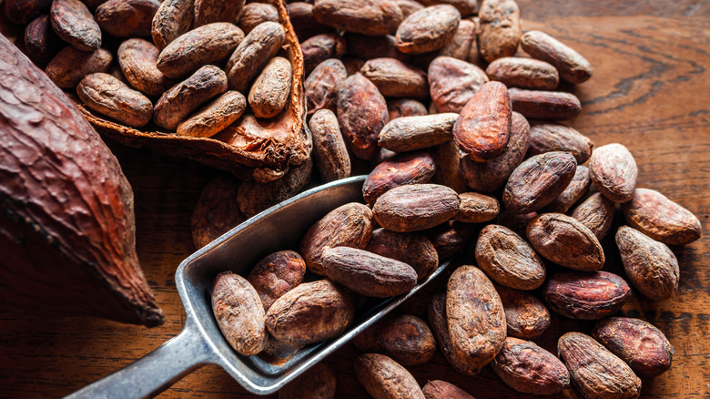 A close up of cacao beans.
