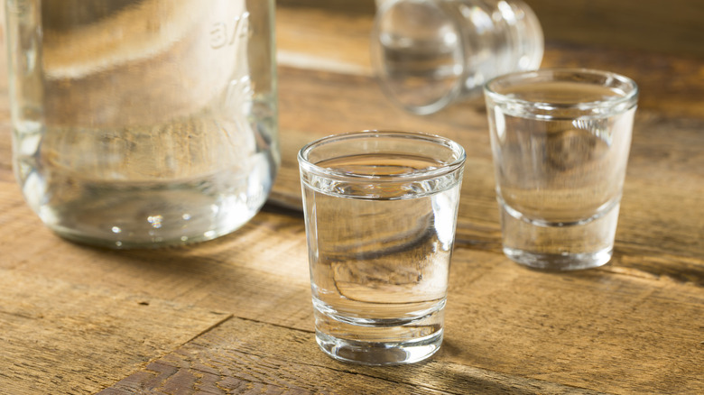 shot glasses of clear vodka