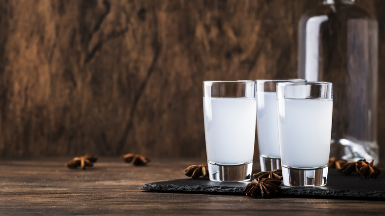 three short glasses of cloudy spirit with star anise and slate on wooden table