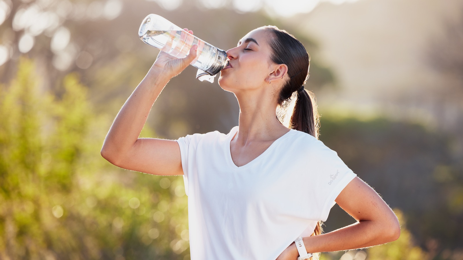 What should you drink to stay hydrated? It's not always water