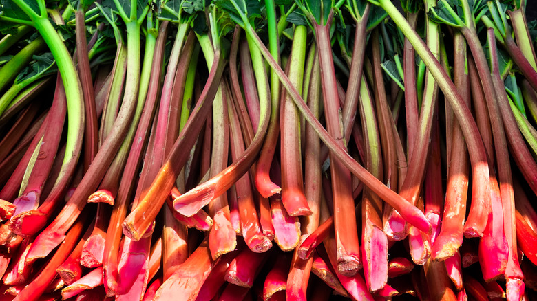 Rhubarb at a farmer's market