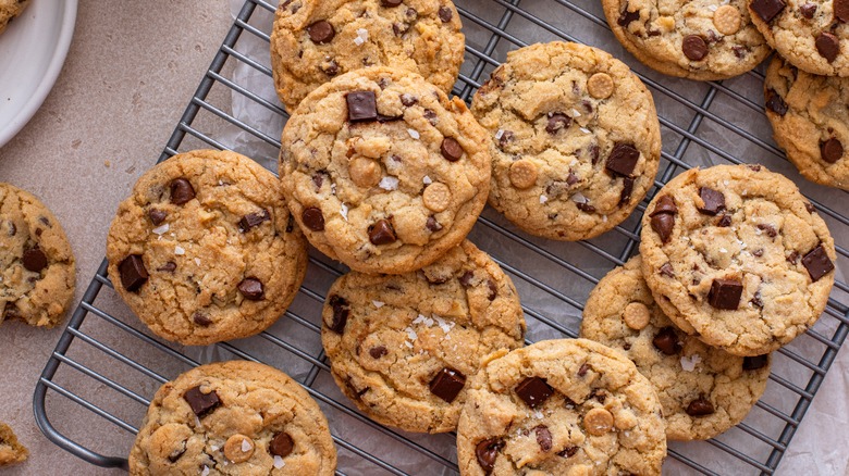 chocolate chip cookies