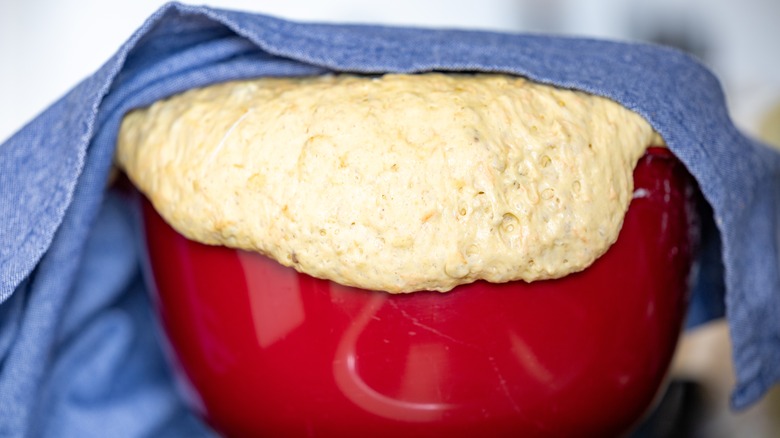 Bread dough overflowing from a bowl.