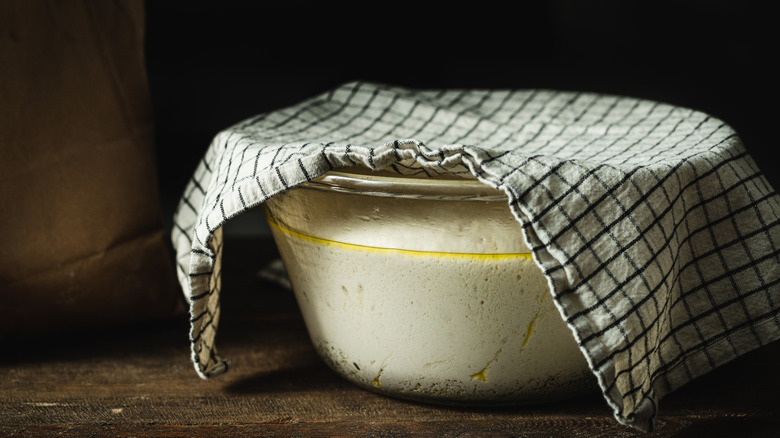 Bread proofing in a covered bowl. 