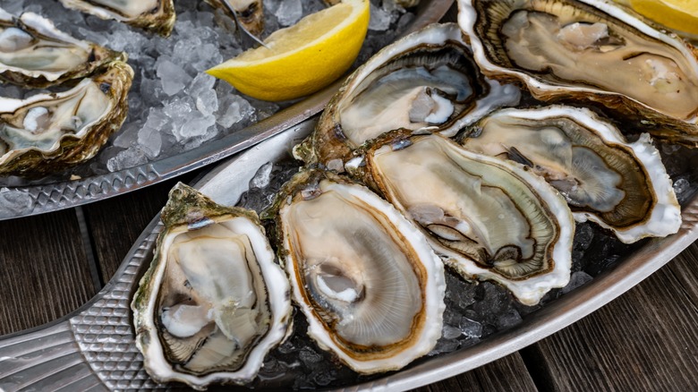 raw oysters on platter