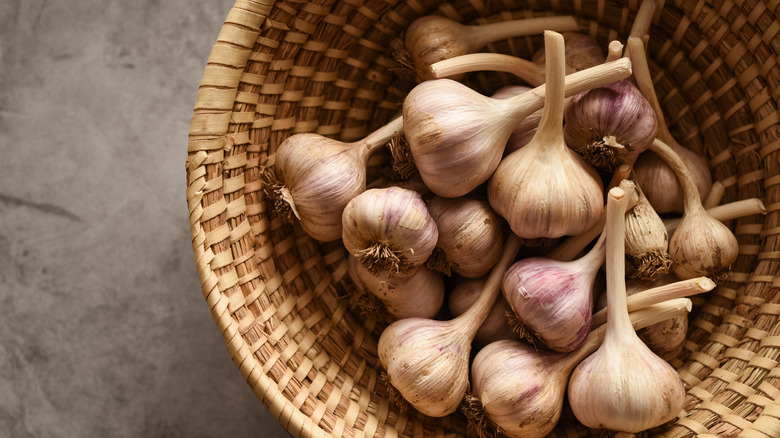 Cured hardneck garlic in a woven bowl