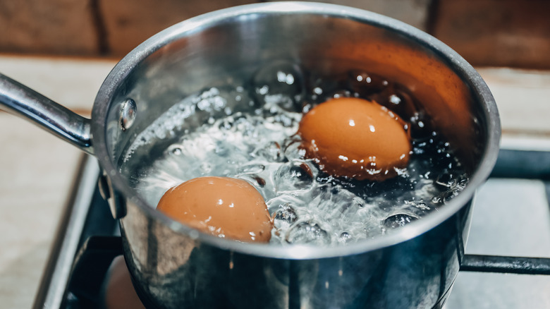 Two eggs boiling