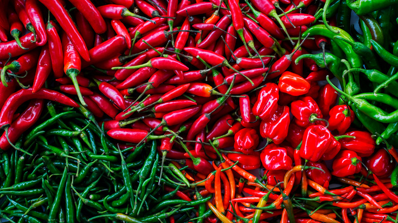 Varietiest of spicy peppers in a pile