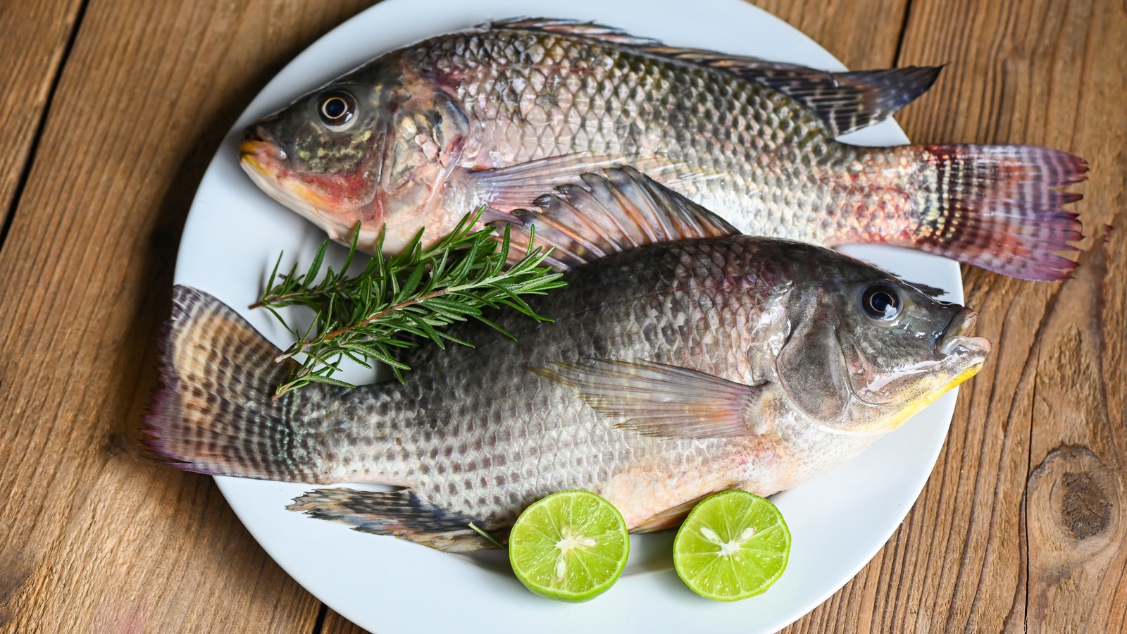 What you need to know before eating tilapia again