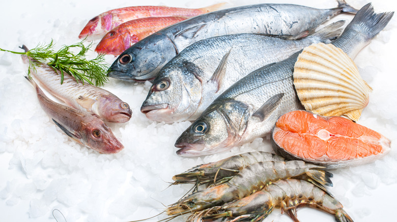 Whole fresh fish on ice with herbs