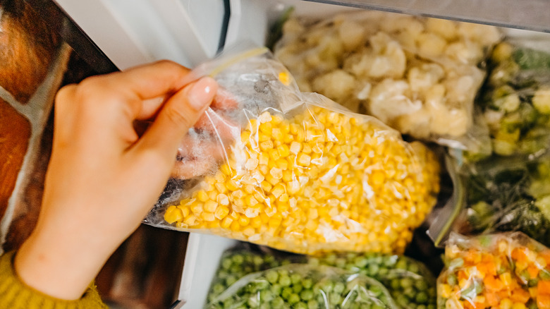 Person removing corn from freezer