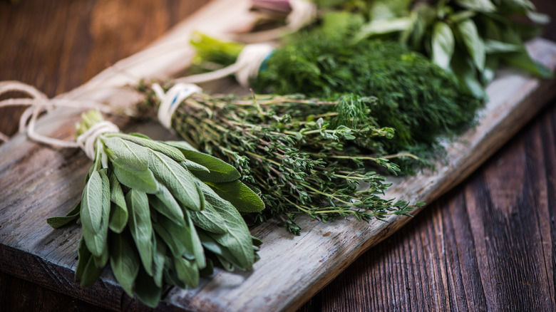 Bundles of herbs for drying