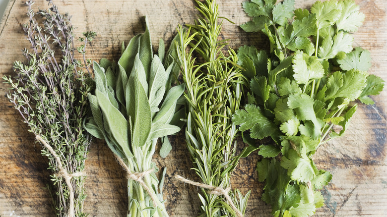 Fresh herbs bundled for drying