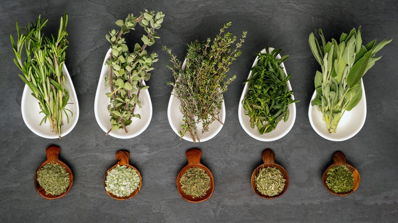 A variety of fresh and dried herbs