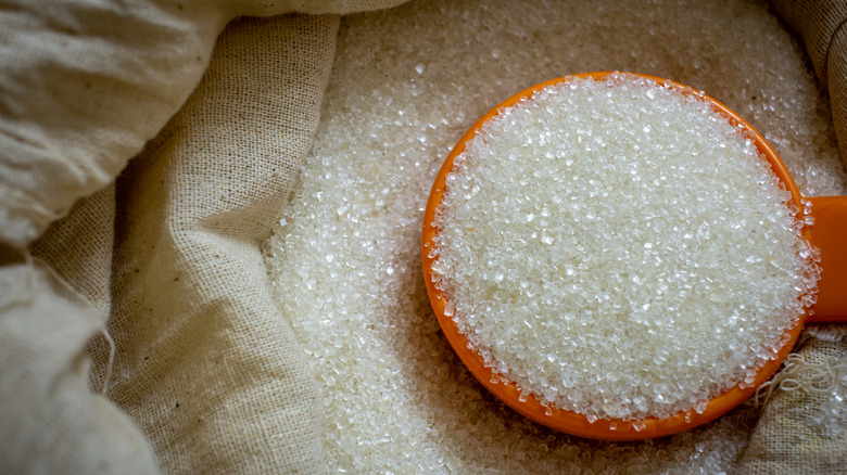 scoop of cane sugar