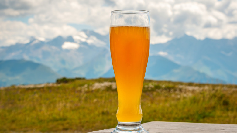 Hefeweizen beer with mountains