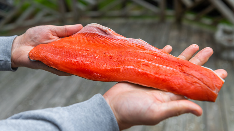 Hands holding a raw fillet of wild Alaskan salmon