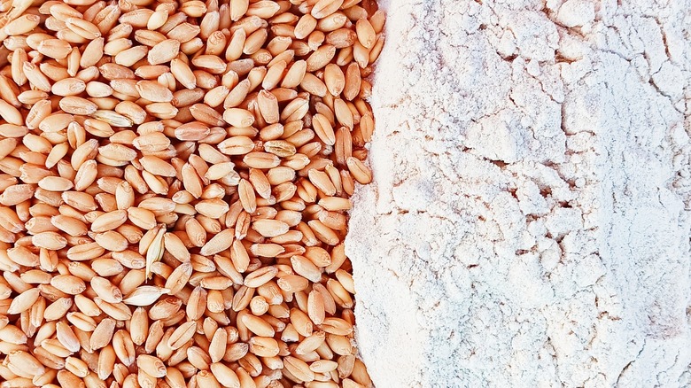 whole grains and milled flour comparison