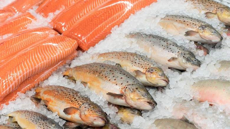 Fresh whole fish and fillets at a market