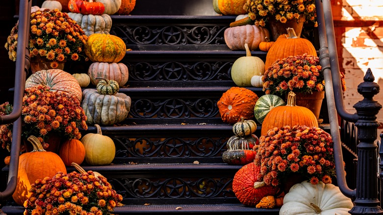 Halloween pumpkins on steps