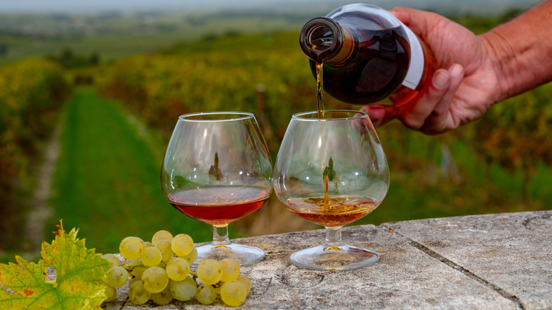 Cognac being poured into snifters overlooking a vineyard