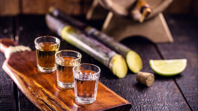 Cachaça on a wooden board next to sugar cane stalks