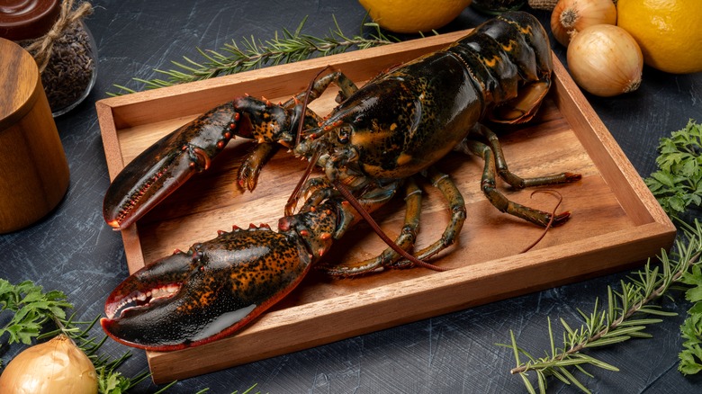 uncooked lobster on cutting board