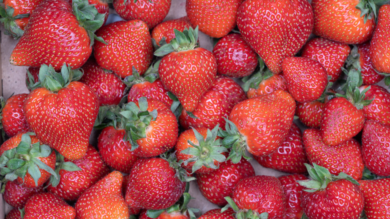 Pile of strawberries