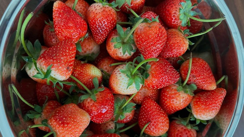Fresh strawberries with stems