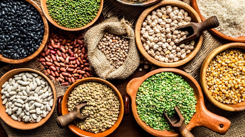 Bowls of various legumes