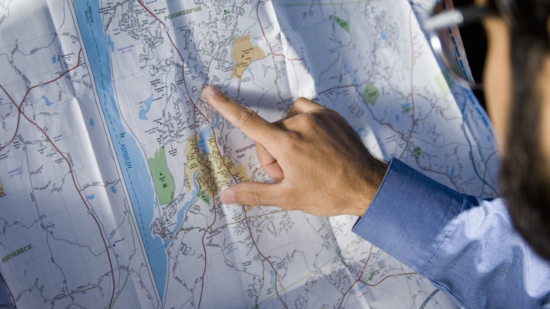 Man studying a map