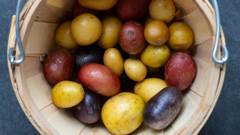 A basket filled with different potato varieties