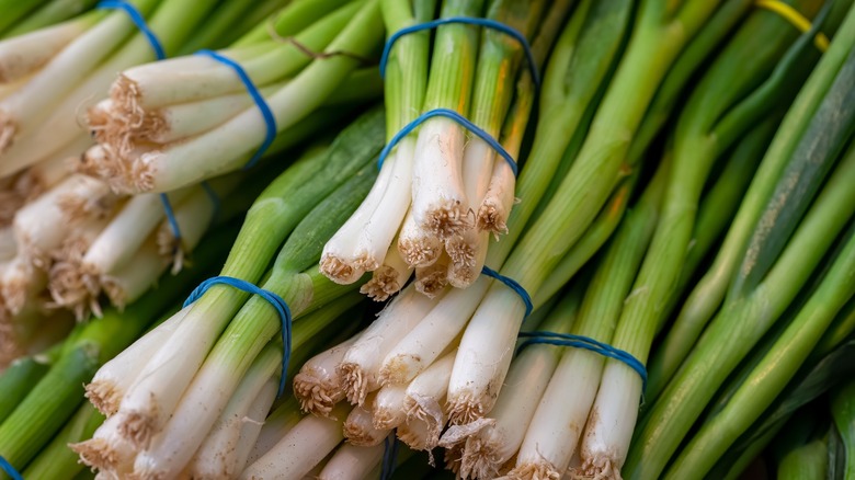 Stacked bundles of scallions