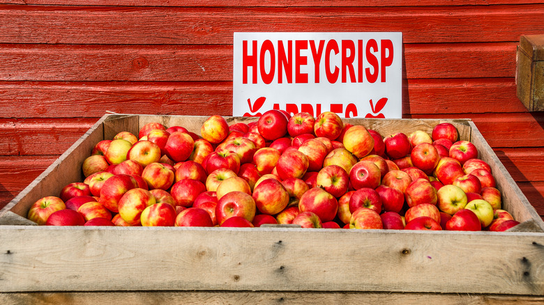 Honeycrisp apples for sale outside