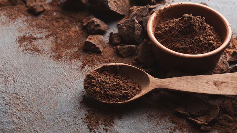 Cocoa Powder in Spoon with Chocolate Pieces