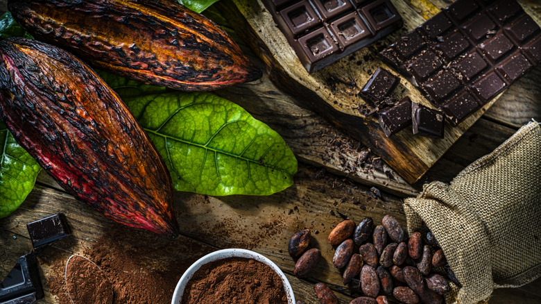 cacao beans and chocolate
