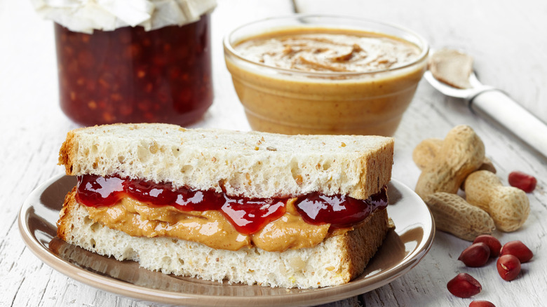 Peanut butter and Jelly sandwich with peanuts