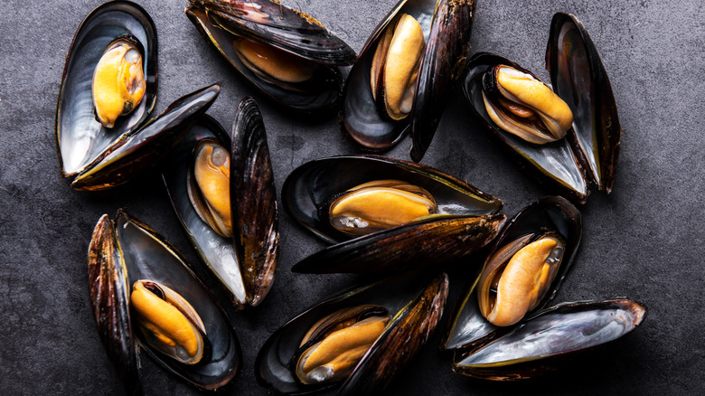 Several mussels with their shells open on a dark background