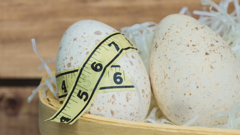 Turkey eggs in a basket with a measuring tape